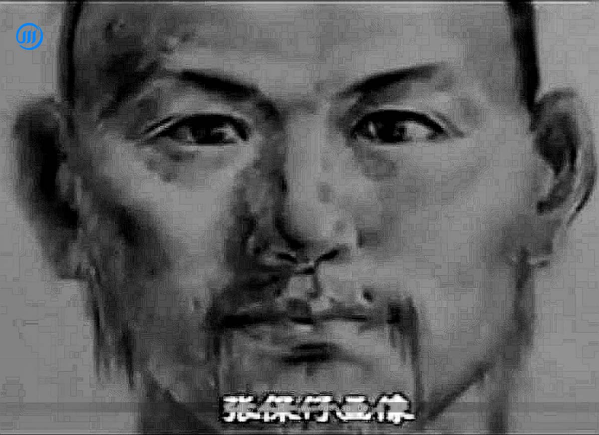 张保仔画像