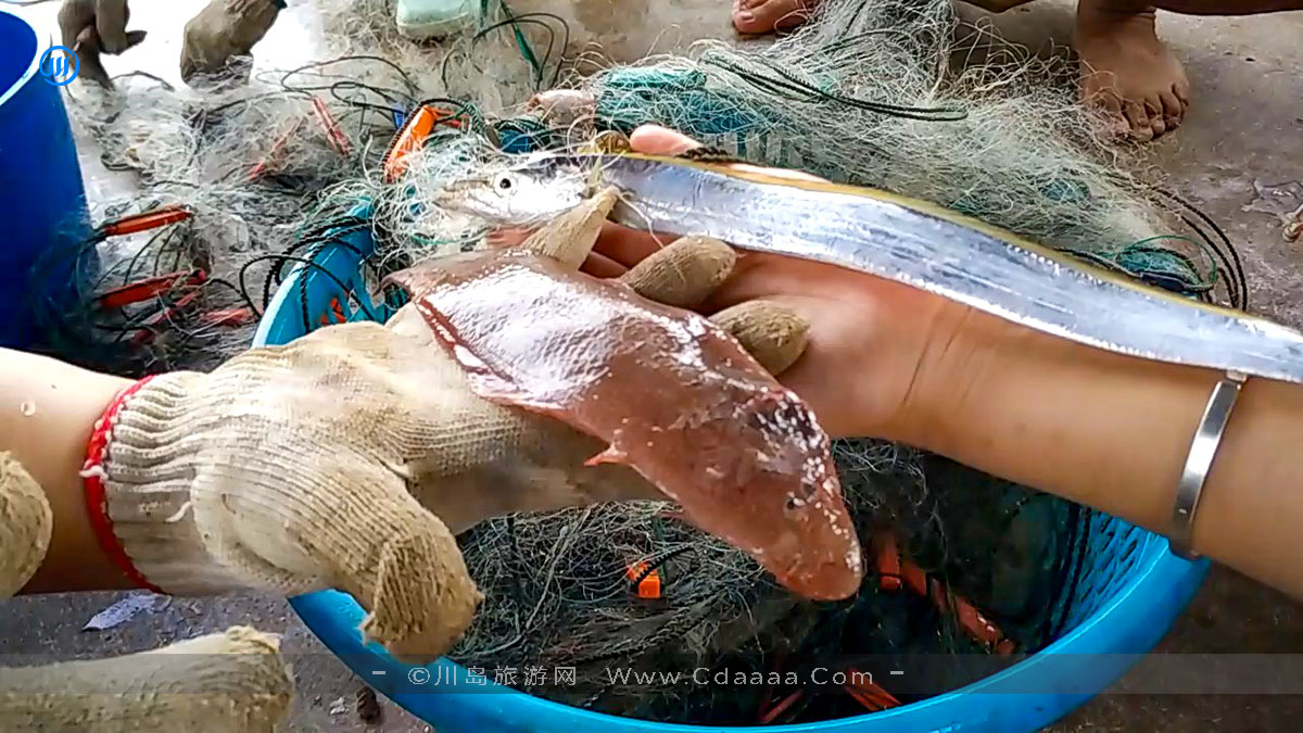 出海捕鱼16