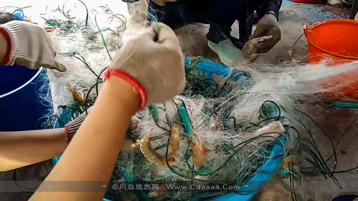 出海捕鱼13