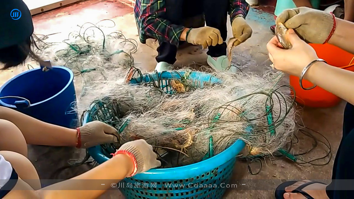 出海捕鱼14
