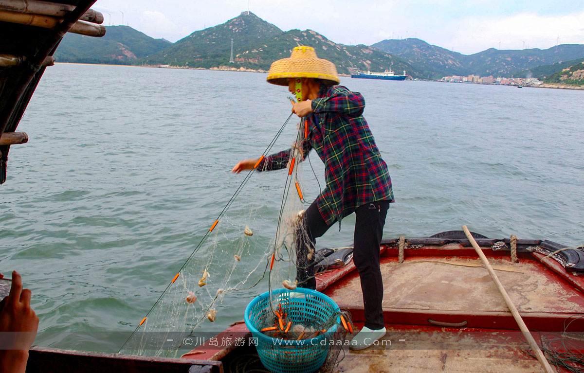 出海捕鱼2