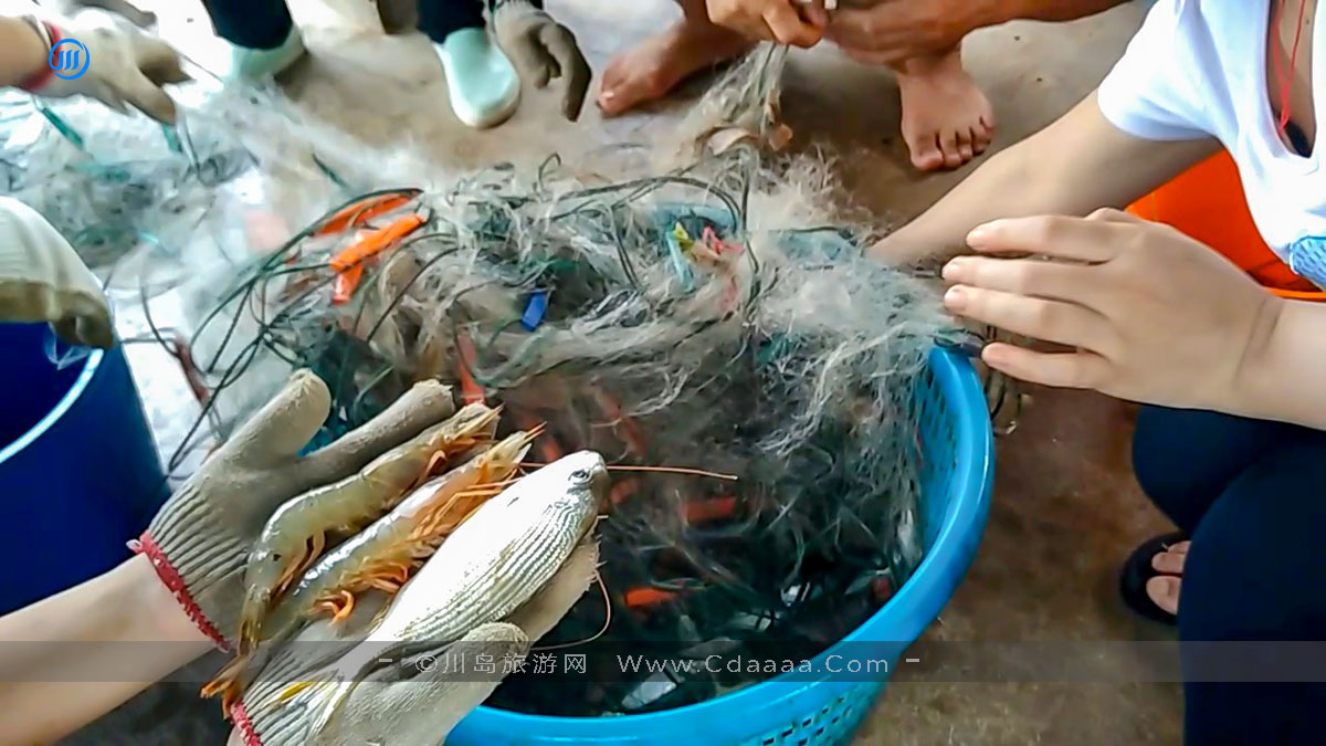 出海捕鱼15
