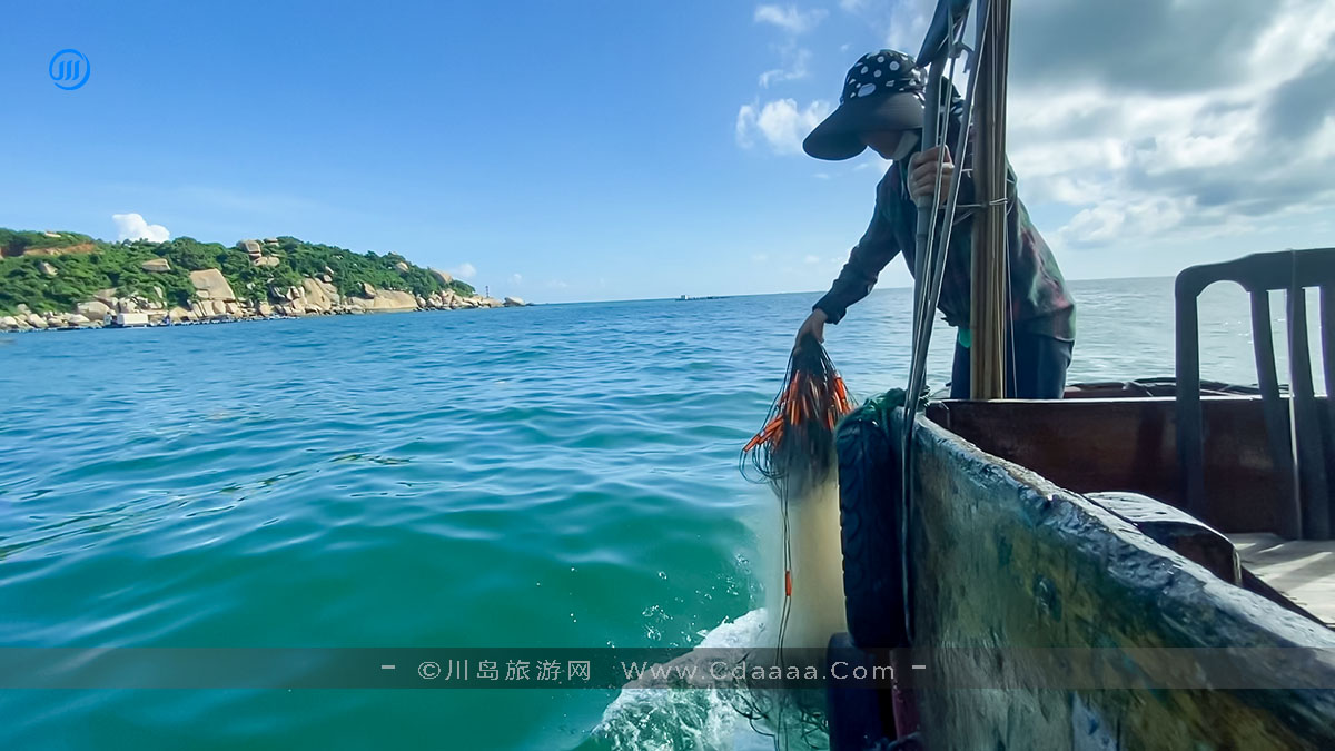 出海捕鱼5