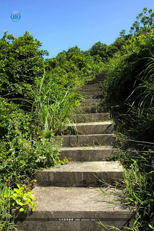 围夹岛6 围夹岛6