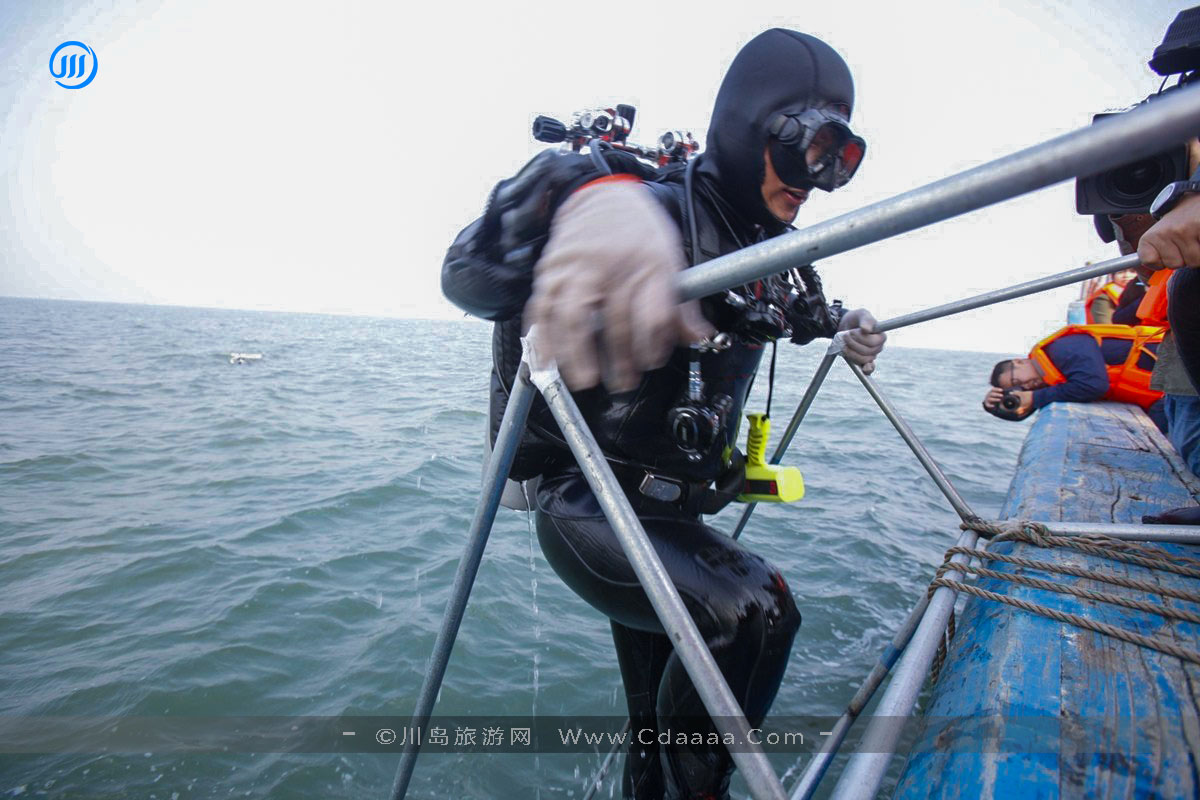 川岛海域探索 川岛海域探索