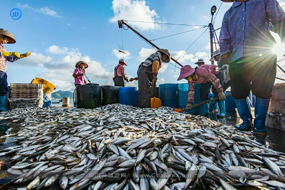 上川岛风景27 上川岛风景27