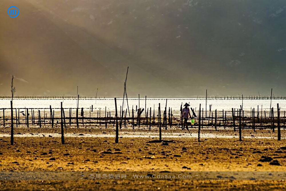 上川岛风景6 上川岛风景6