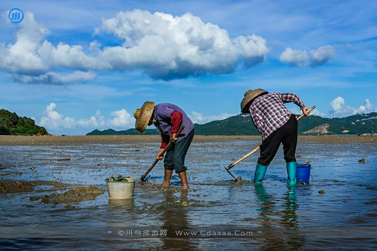 上川岛风景2 上川岛风景2