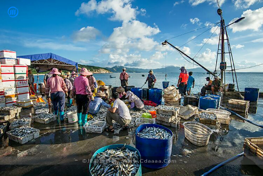 上川岛风景25 上川岛风景25