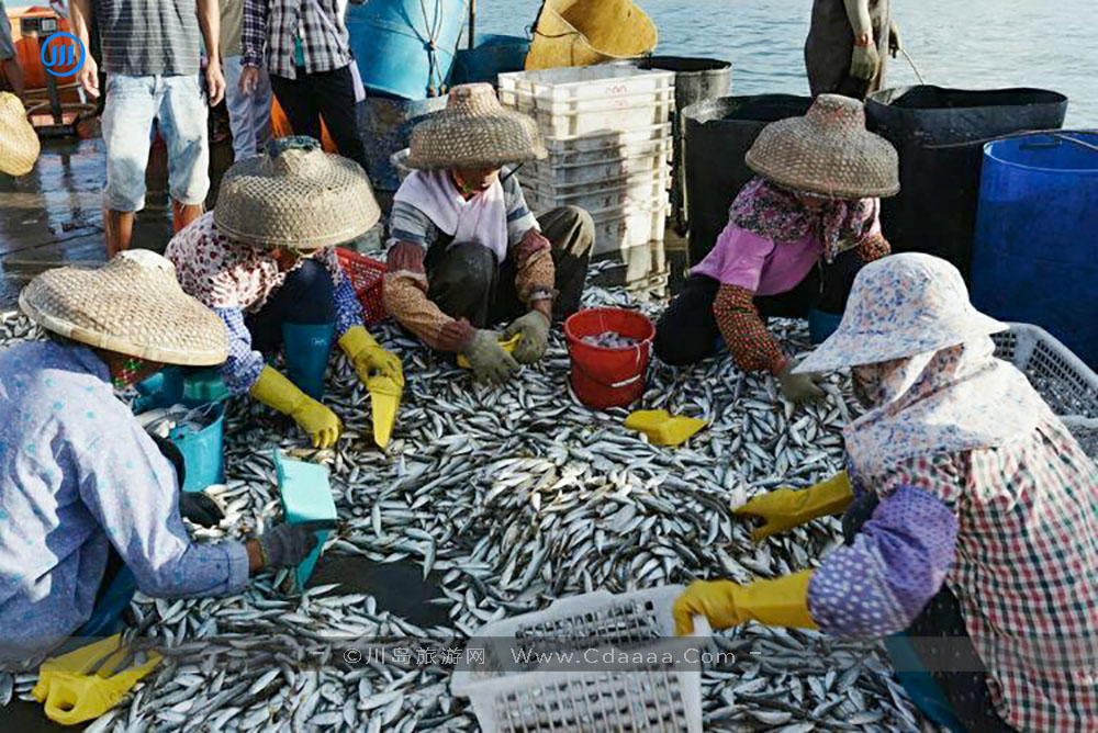上川岛风景28 上川岛风景28