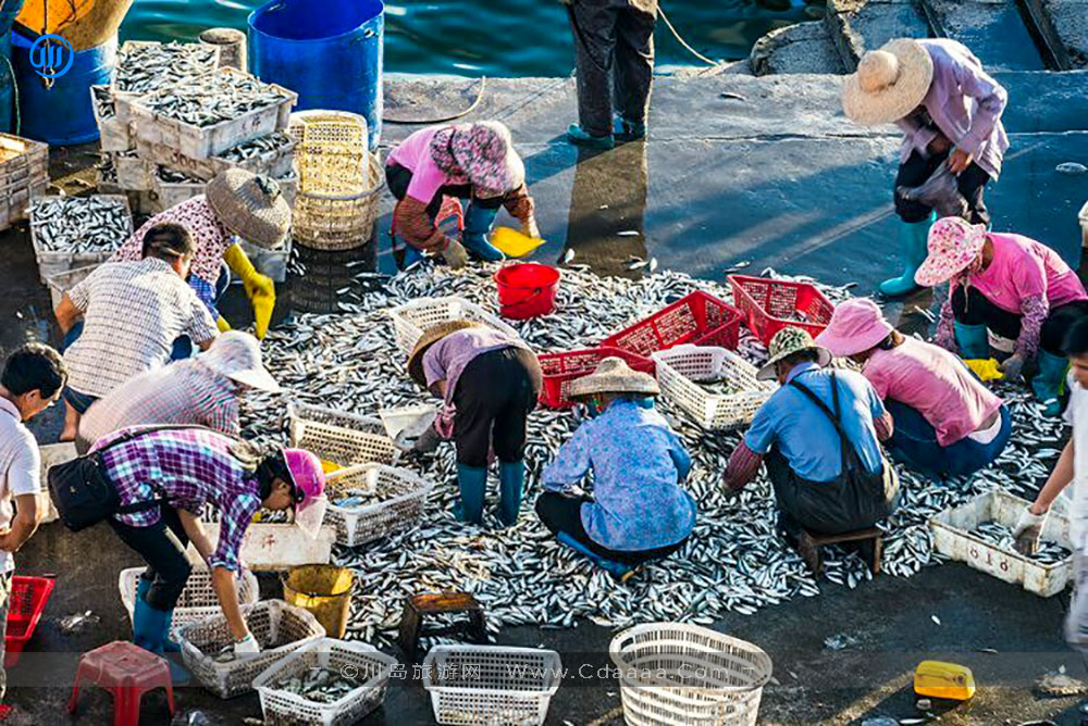 上川岛风景26 上川岛风景26