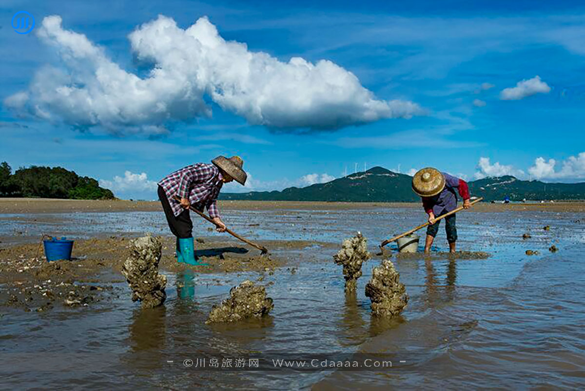 上川岛风景1 上川岛风景1