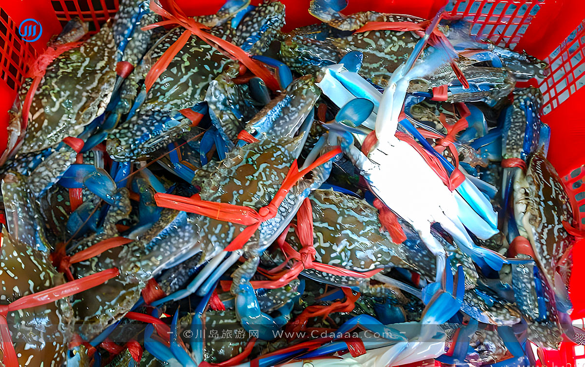 上下川岛螃蟹 上下川岛螃蟹