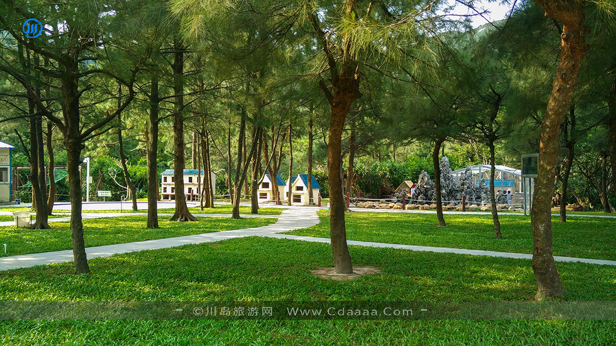 上川岛猕猴 上川岛猕猴
