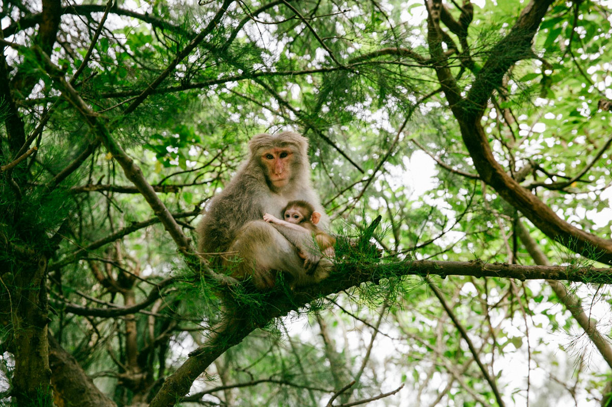 江门籍环球小姐带你畅游大美台山上下川岛 江门籍环球小姐带你畅游大美台山上下川岛