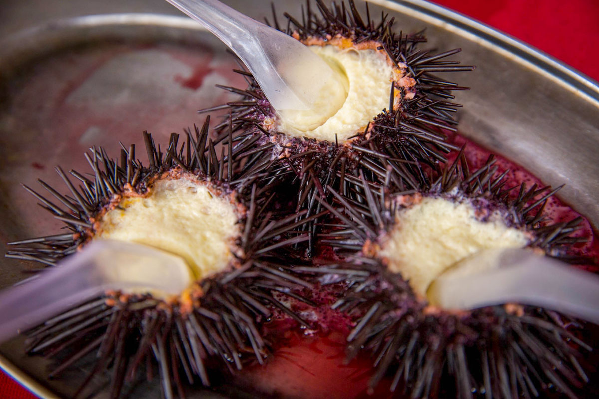 江门籍环球小姐带你畅游大美台山上下川岛