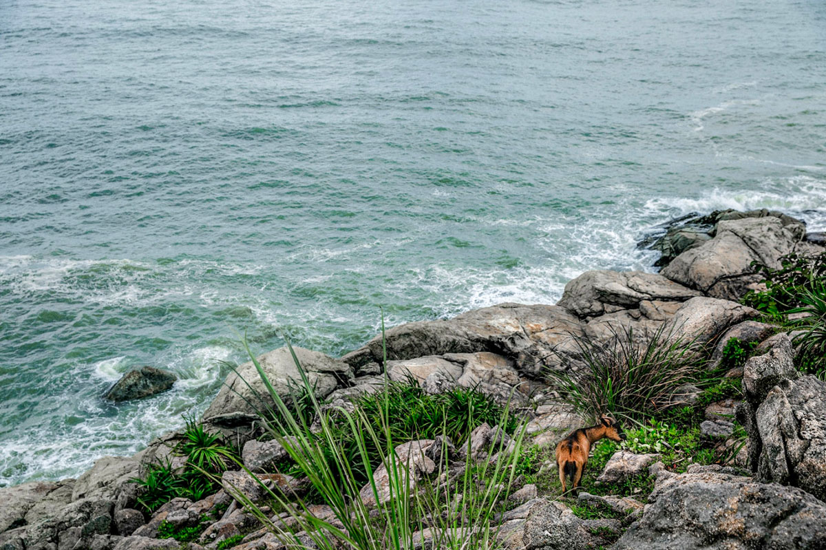 江门籍环球小姐带你畅游大美台山上下川岛 江门籍环球小姐带你畅游大美台山上下川岛