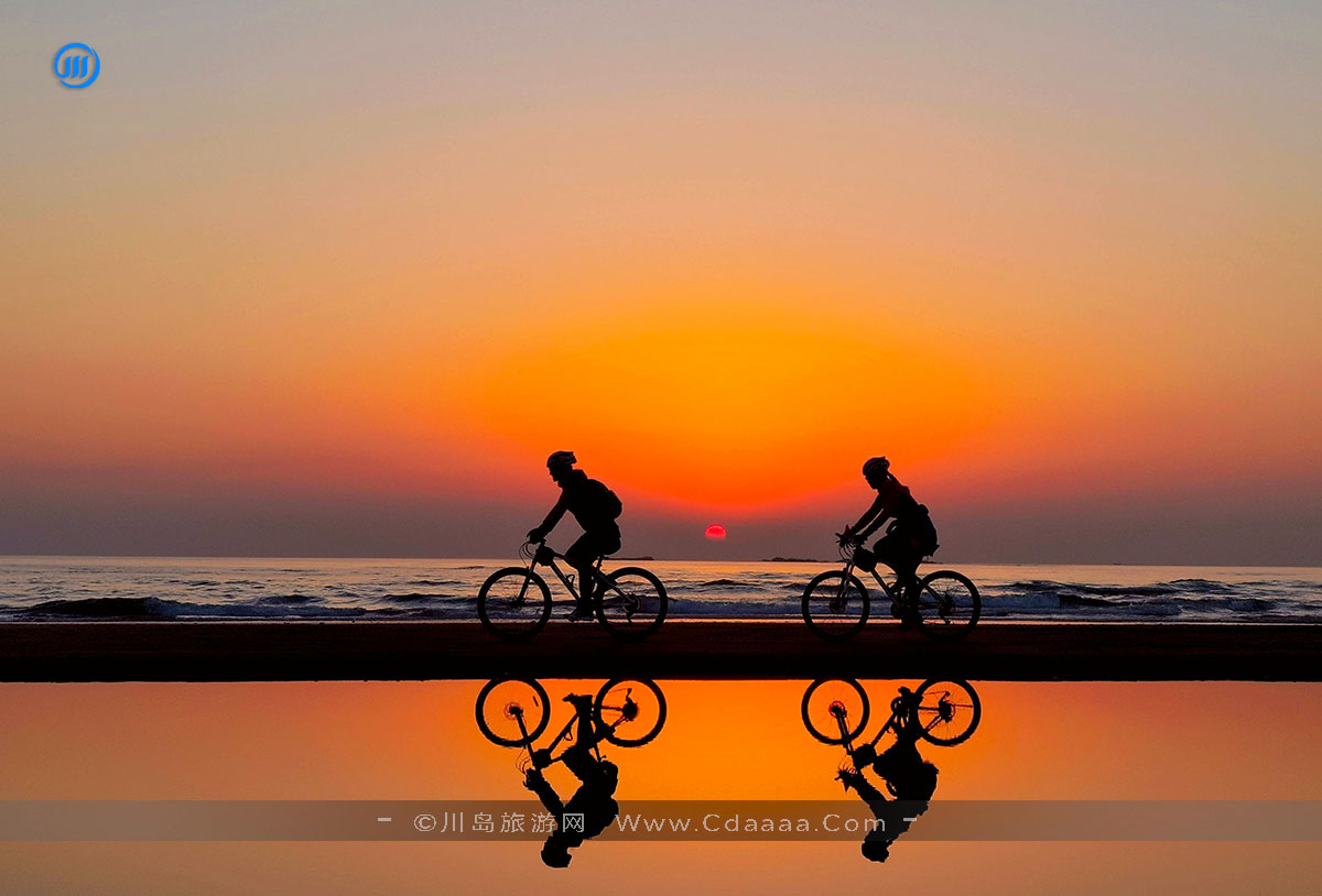 老板对不起，我要去上下川岛了，别再找我了