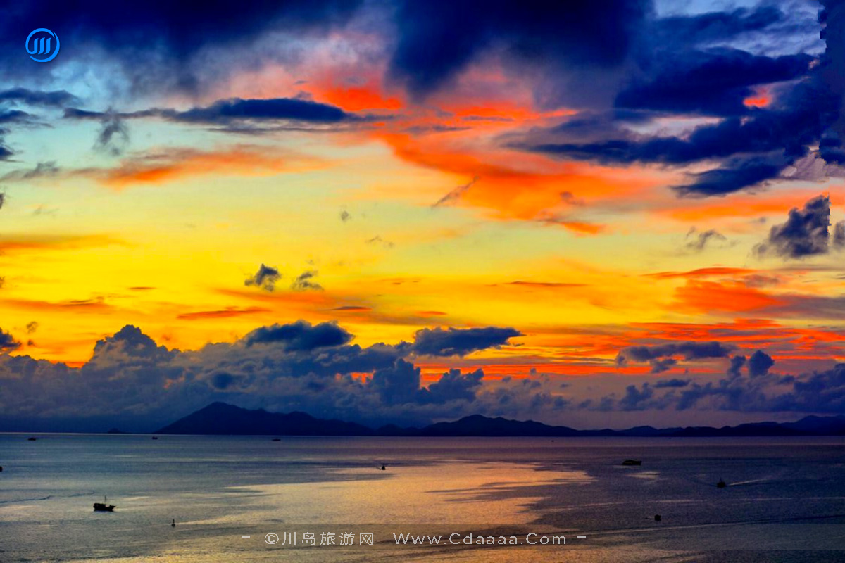 川岛旅游网