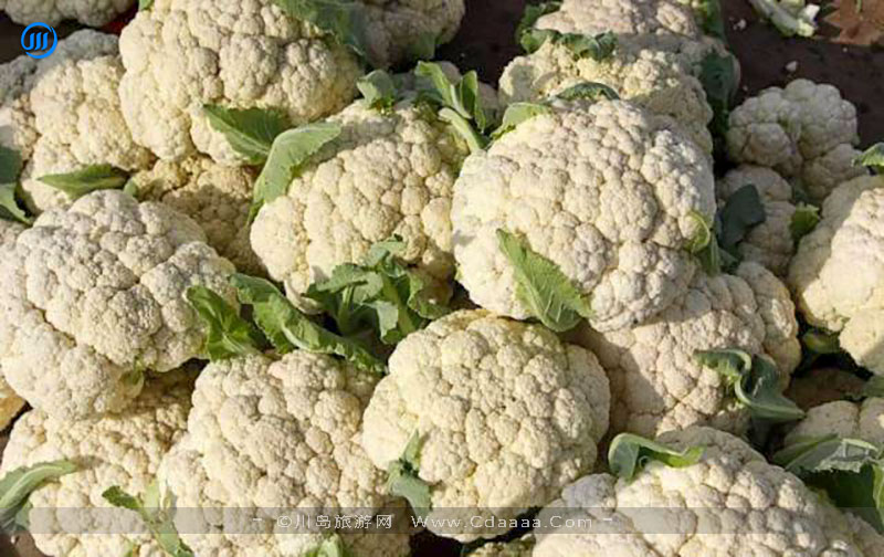 都斛椰菜花 都斛椰菜花