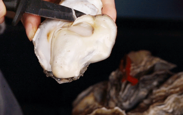 生蚝 生蚝